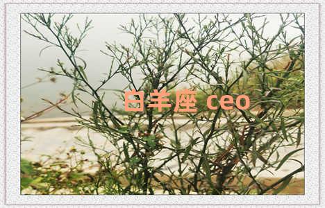 白羊座 ceo